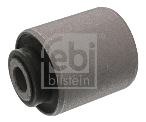 Mounting, control/trailing arm